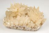 Dogtooth Spar Calcite Crystal Cluster - China #205504-1